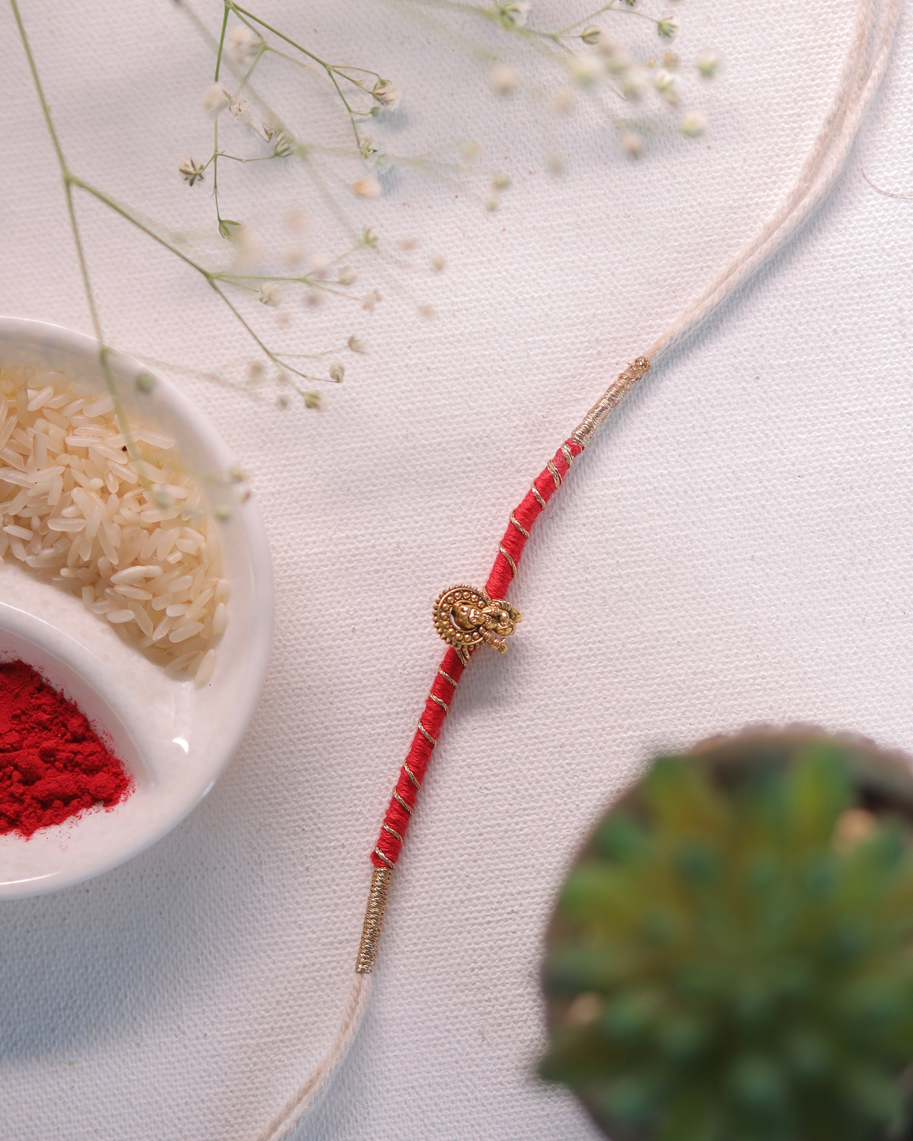 Bhai Rakhi.30