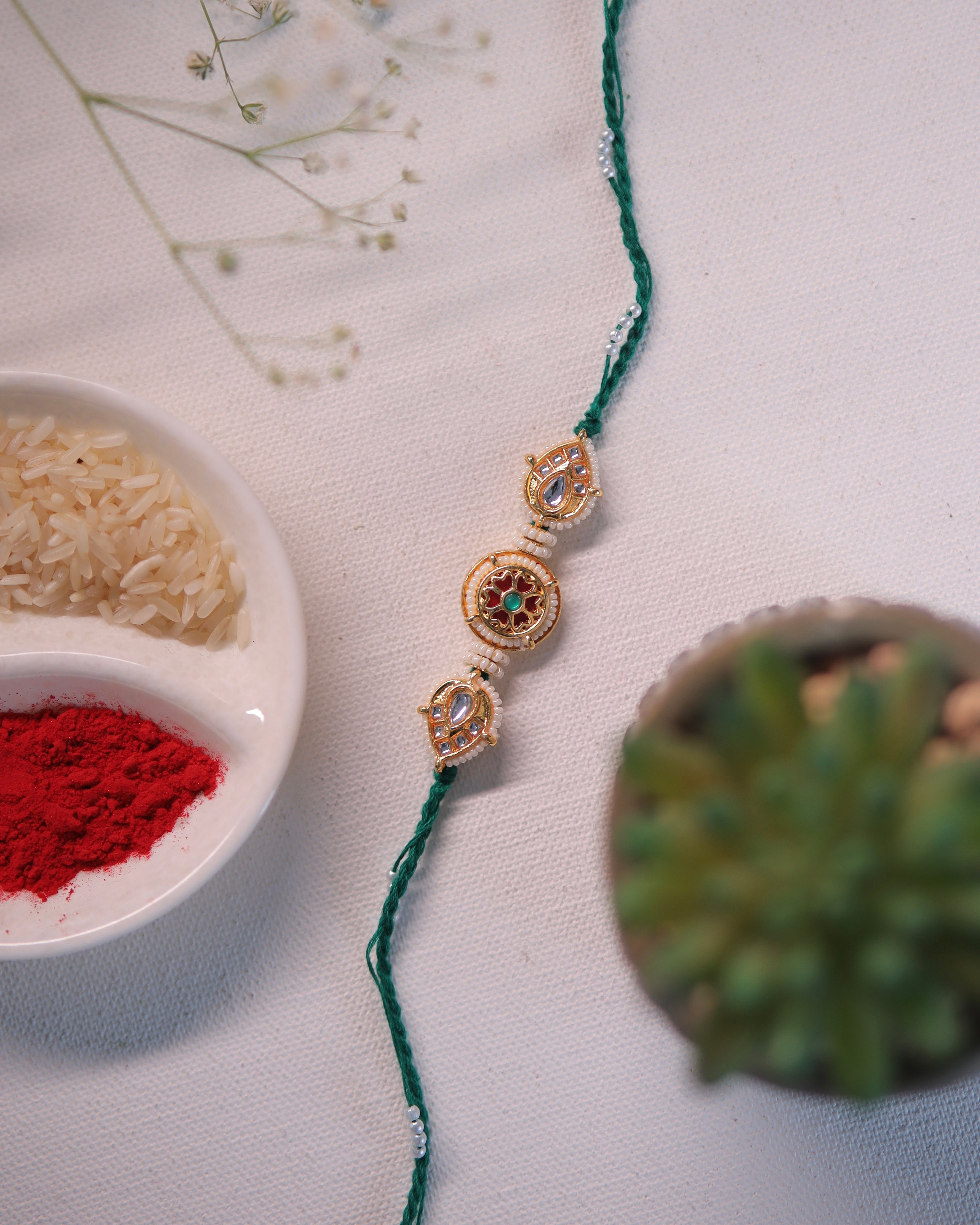 Bhai Rakhi.17